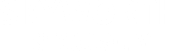 Skyworth Security Indonesia Logo